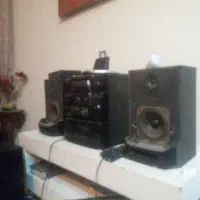 ضبط پاناسونیک ژاپن