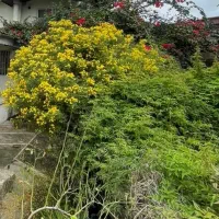 ویلا-رو-به-کوه-شهرک-برند-متل-قو-لاکوده