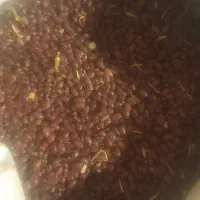 فروش|حراج|بلبان آباد, |دیوار