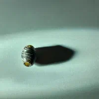 مهره گبری|کلکسیون اشیاء عتیقه|بوشهر, |دیوار