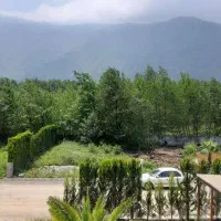 285مترزمین شهرکی.دسترسی آسان به ساحل.داخل بافت|فروش زمین و ملک کلنگی|نشتارود, |دیوار