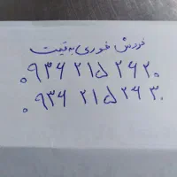 خط ایرانسل رند پشت سرهم یکیش ثابت ویکی اعتباری هست