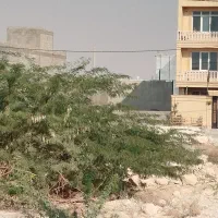 معاوضه پژو پارس تیوفایو و یک ملک ۲۰۰متری با|خودرو سواری و وانت|بندر دیر, |دیوار