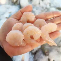 نیازمند حسابدار خانم|استخدام بازاریابی و فروش|بوشهر, |دیوار