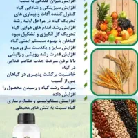 ۱۲۰ عددسطل کود یک کیلویی ارگانیک قیمت قبل|گل و گیاه طبیعی|شیراز, دباغ خانه|دیوار