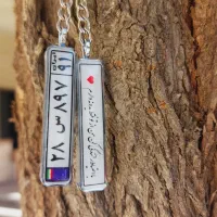 جاسوئیچی پلاک ماشین|بدلیجات|پارس‌آباد, |دیوار