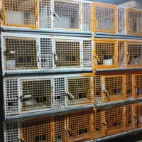 جفت خوان درجه یک سنگین