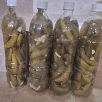 فروش خیار شور جانوشابه و دبه