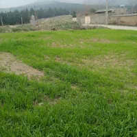 510متر-زمین-ویلایی-برجنگل-معاوضه-با-خودرو