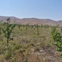 زمین ۵۰۰ متری در جاده فیروزکوه ابتدای جاده ارجمند|فروش زمین و ملک کلنگی|فیروزکوه, |دیوار