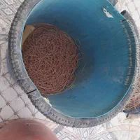 تند کلو زیر آبی|ماهیگیری|کنارک, |دیوار