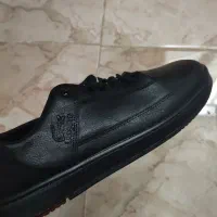 کفش لاگوست سایز 44