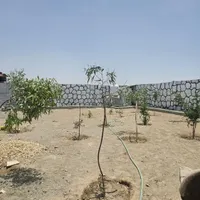 ۵۰۰ متر باغ تکمیل قیمت ۷۷۰ میلیون نقدو اقساط|فروش زمین و ملک کلنگی|اصفهان, ردان|دیوار