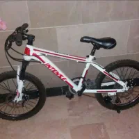 دوچرخه دیسگی سایز ۲۰