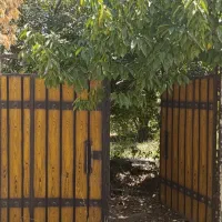 باغچه قاسم اباد بزرگ.فروش یامعاوضه|فروش زمین و ملک کلنگی|هشتگرد, قاسم آباد بزرگ|دیوار