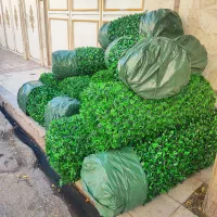 فنس برگی و چمنی|گل مصنوعی|قم, نیروگاه|دیوار