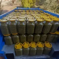 پخش ، زیتون ، گلسیر ، سیر ترشی ، روغن زیتون|خوردنی و آشامیدنی|رودبار, |دیوار