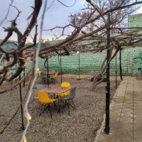 دوربین دست میز نهار خوری