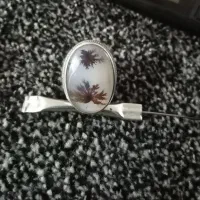انگشتر شجر سوزنی