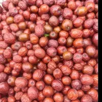 عناب تازه امسال لرستان