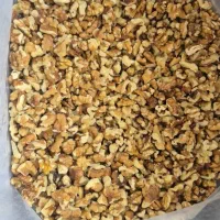 فروش عمده خرده گردو