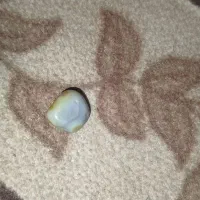 مهره سلیمانی |جواهرات|سوسنگرد, |دیوار