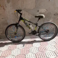 دوچرخه ویوا|دوچرخه، اسکیت، اسکوتر|اقبالیه, |دیوار