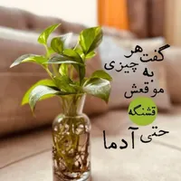 اسکان رایگان