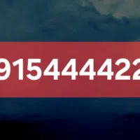 سیم کارت خط رند همراه اول