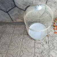 قفس گرد بدون پایه
