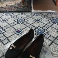 سه عدد کفش نو|کیف، کفش، کمربند|پرند, فاز ۴|دیوار