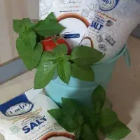 استخدام بازاریاب و کارشناس فروش|استخدام بازاریابی و فروش|شیراز, سلطان آباد|دیوار