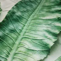 تابلو بوم پروانه|تابلو، نقاشی، عکس|مشهد, رسالت|دیوار