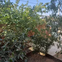 منزل همت اباد فقط تا یک هفته زیر قیمت کارشناسی