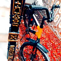 سلام دوچرخه سالم سالم