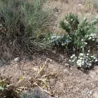 هفت-برم-قره-چمن-8هکتار-زمین-فروشی