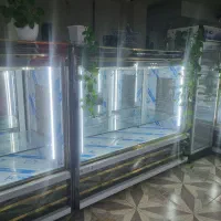 یخچال فروشگاهی و قصابی|فروشگاه و مغازه|لنجان, |دیوار