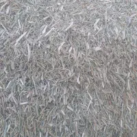 فروش کاه خار شتور