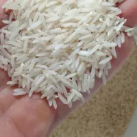 برنج خالص صد در صد