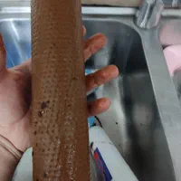 تعویض فیلتر تعمیرات تخصصی فروش نصب دستگاه تصفیه آب|خدمات پیشه و مهارت|بندرعباس, |دیوار