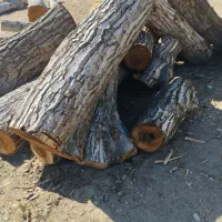 خرید و فروش چوب