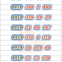 سیم‌کارت ۹۱۹ (کد۳)c3