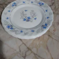 پیش دستی
