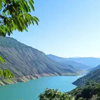 فروش-زمین-کشاورزی-12-هکتاری-با-چاه