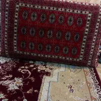 دوعددپشتی درحدنو