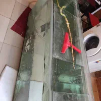 اکواریوم حرفه ای درجه یک بزرگ|ماهی|بروجرد, |دیوار