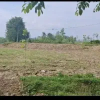 زمین مسکونی وباغی کمسار بزرگ به صورت یک جا