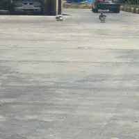 غاز