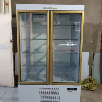 یکی بخر دو تا ببر یخچال ایستاده فقد فقد تا ۲۰ آذر|فروشگاه و مغازه|نیشابور, دارایی|دیوار