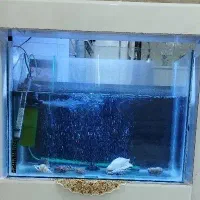 شیشه آکواریوم و تجهیزات آکواریوم قیمت مناسب